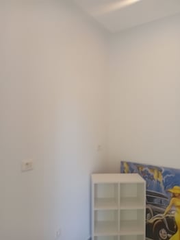 sandra 31