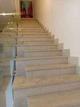 sandra 31