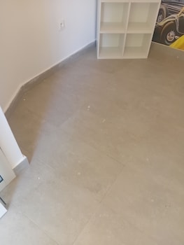 sandra 31