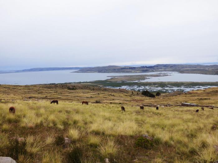 tierra espiritual andean holistic hotel