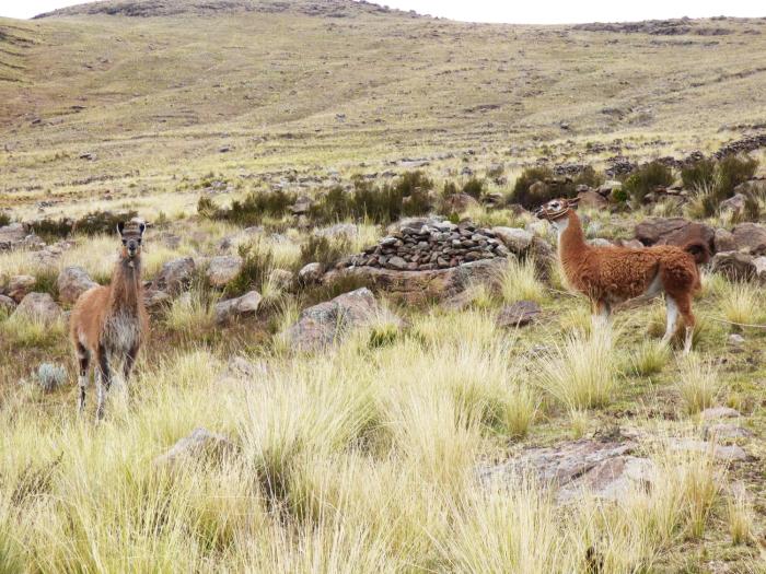 tierra espiritual andean holistic hotel