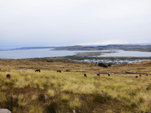tierra espiritual andean holistic hotel