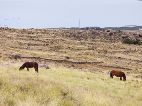 tierra espiritual andean holistic hotel