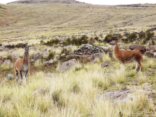 tierra espiritual andean holistic hotel