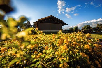 kilimanjaro luxury camp