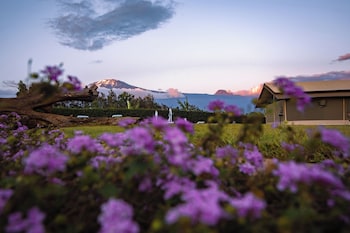kilimanjaro luxury camp