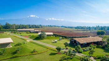 kilimanjaro luxury camp