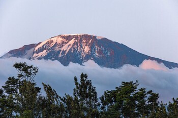 kilimanjaro luxury camp