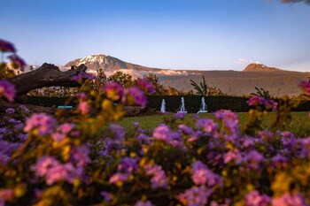 kilimanjaro luxury camp