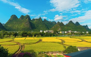 cindy villa rice fields and karst peaks at yulong river infinity pool