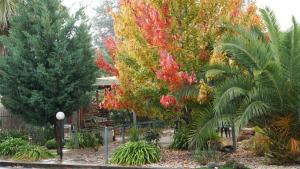 golden leaf motor inn
