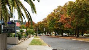 golden leaf motor inn