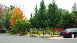 golden leaf motor inn