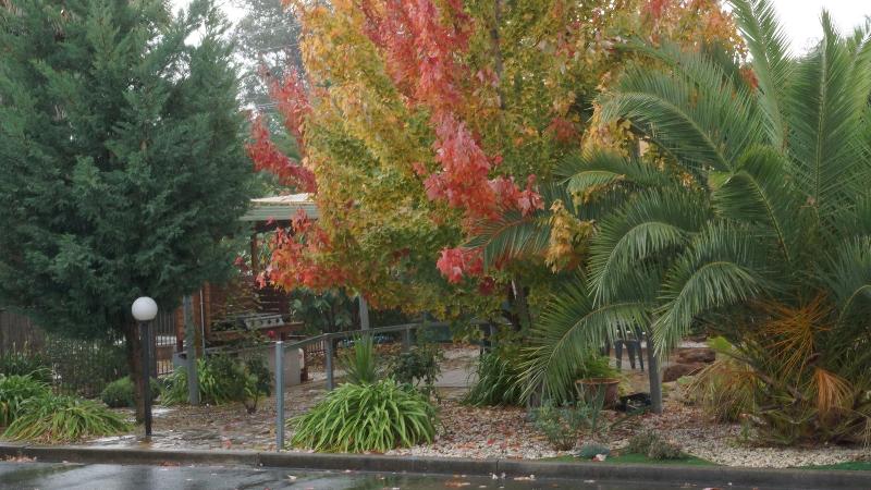 Golden Leaf Motor Inn,Bright>>Beechworth,4 star