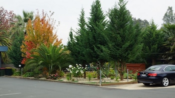 golden leaf motor inn