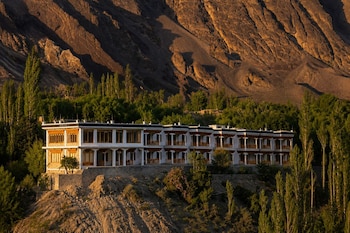 the apricot tree hotel