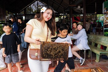 the rice hotel and tour 27 nguyen thai binh