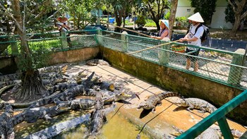 the rice hotel and tour 27 nguyen thai binh