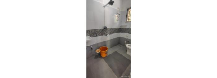 sugarcane homestay