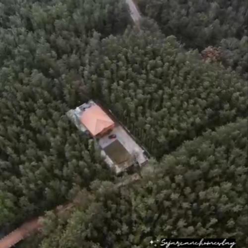 sugarcane homestay