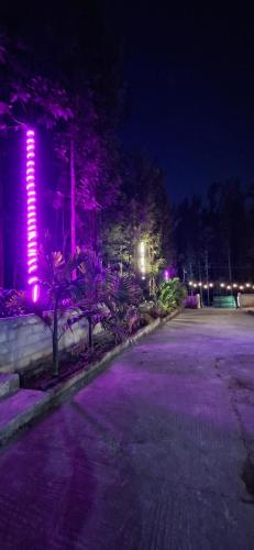 sugarcane homestay