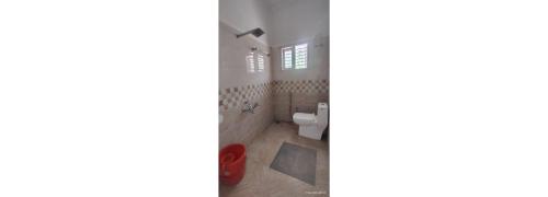 sugarcane homestay