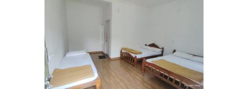 sugarcane homestay