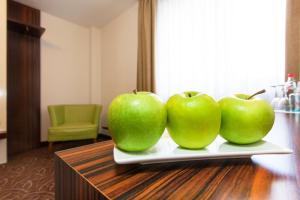 hotel scala frankfurt city