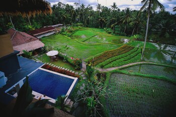 the life artelier ubud