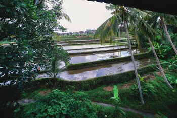 the life artelier ubud