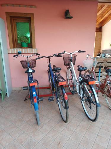 alloggio agrituristico zambon