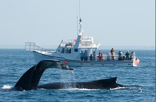 Hearthstone Inn Sydney,Nova Scotia>>Cape Breton,3 star