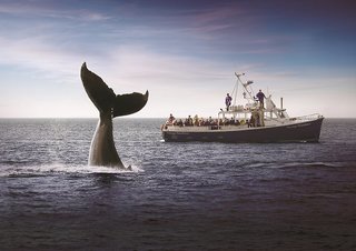 Hearthstone Inn Sydney,Nova Scotia>>Cape Breton,3 star