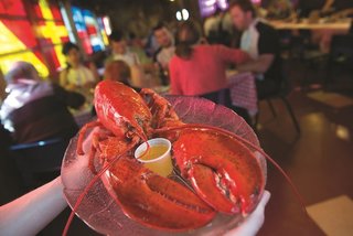 hearthstone inn sydney