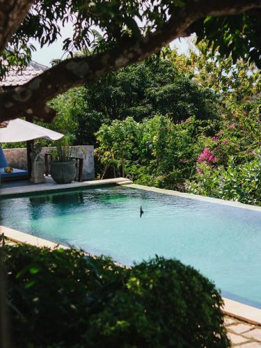 villa olala penida