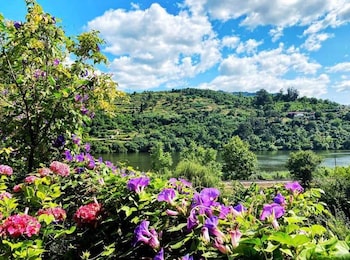 farm paradise in douro 10 people