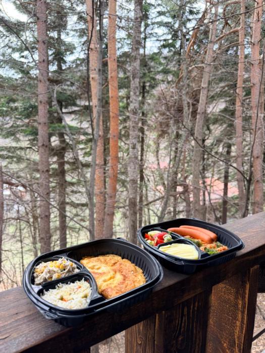 maestro rest house dilijan