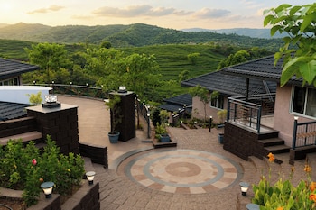 kaapivana resort