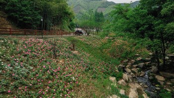 alor valley huzhou
