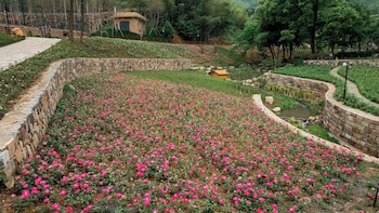 alor valley huzhou