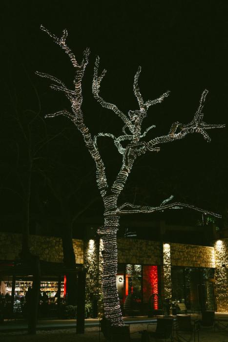 casacon disco hotel sirolo