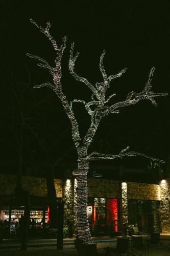casacon disco hotel sirolo