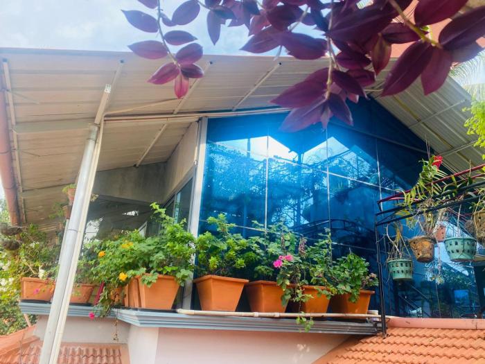 homestay heaven aumgarden