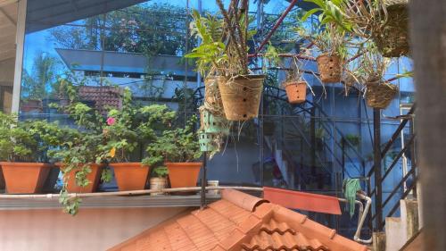 homestay heaven aumgarden
