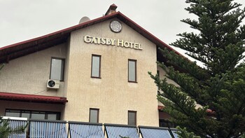 gatsby ortosay