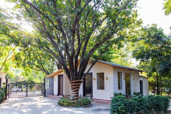 sylvaara suites by elivaas jim corbett
