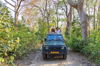 sylvaara suites by elivaas jim corbett