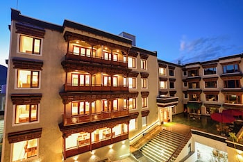 hotel aero ladakh