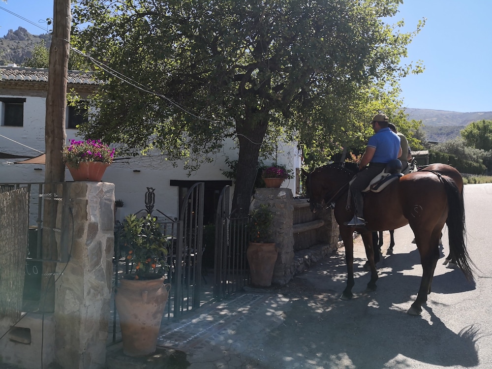 alqueria de los lentos