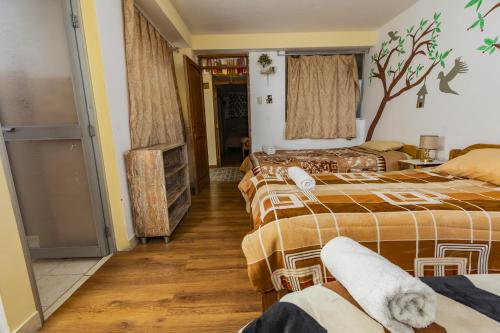 suenos de san blas hostel